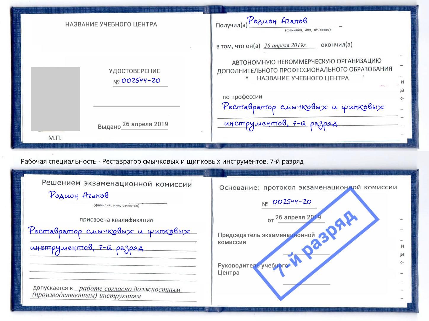 корочка 7-й разряд Реставратор смычковых и щипковых инструментов Северск